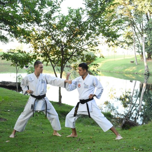 Selbstverteidigung leicht gemacht – Lernen Sie von den Besten in der Dojo33 Academy